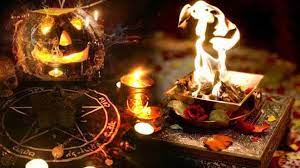 Best top and famous astrologer in india for leagal dispute